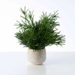 Herbs de Provence - French Lavender, Mint, & Rosemary Faux Plant Arrangement in Concrete Pot - Image 5