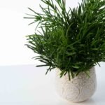 Herbs de Provence - French Lavender, Mint, & Rosemary Faux Plant Arrangement in Concrete Pot - Image 4