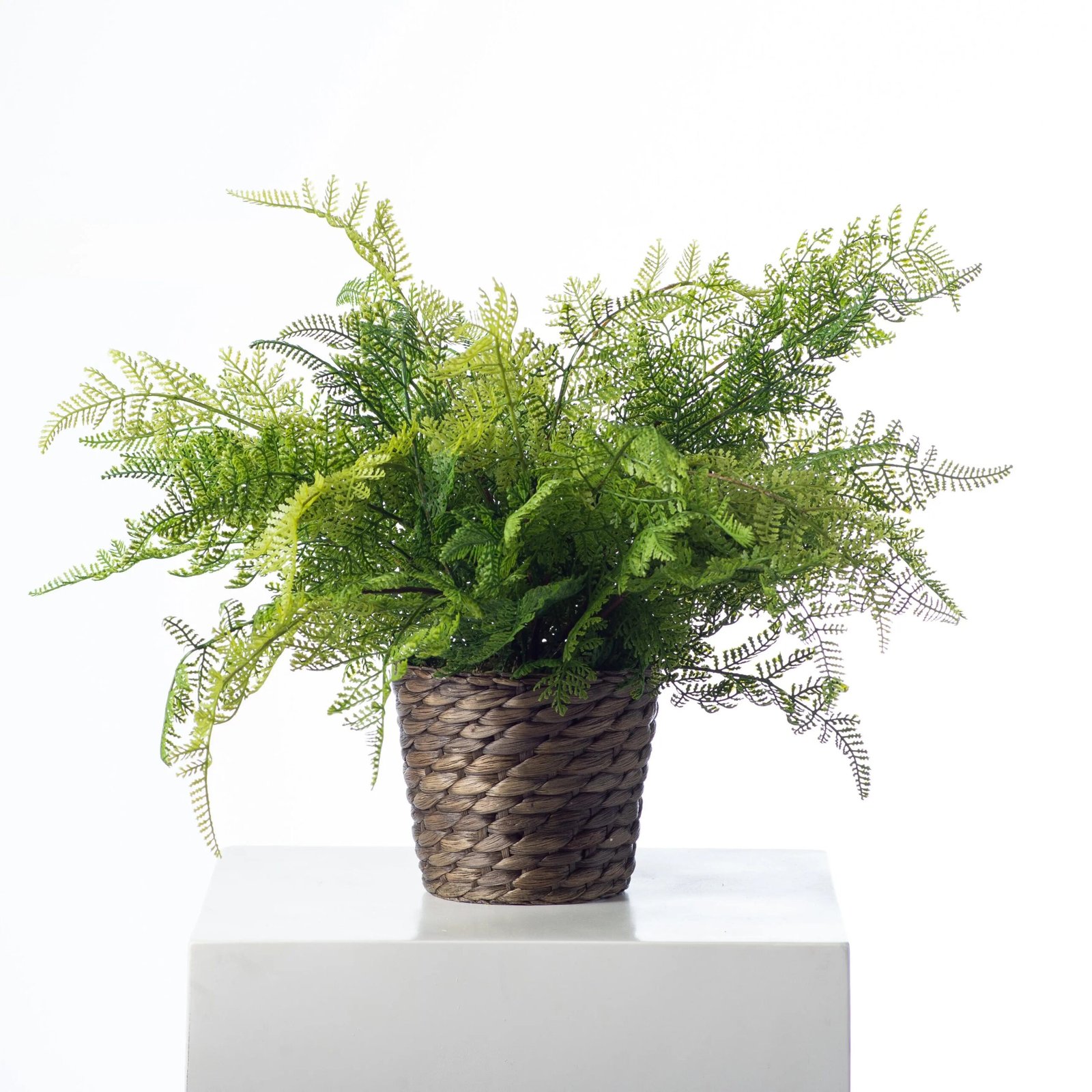 AR1452LaceFernFauxPlantEverydaySpringArrangementinWovenBasket_1 Lace Fern Faux Plant Everyday Spring Arrangement in Woven Basket - Image 1