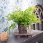 Lace Fern Faux Plant Everyday Spring Arrangement in Woven Basket - Image 3