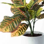 Rainbow Croton Faux Houseplant in White Concrete Planter - Image 2