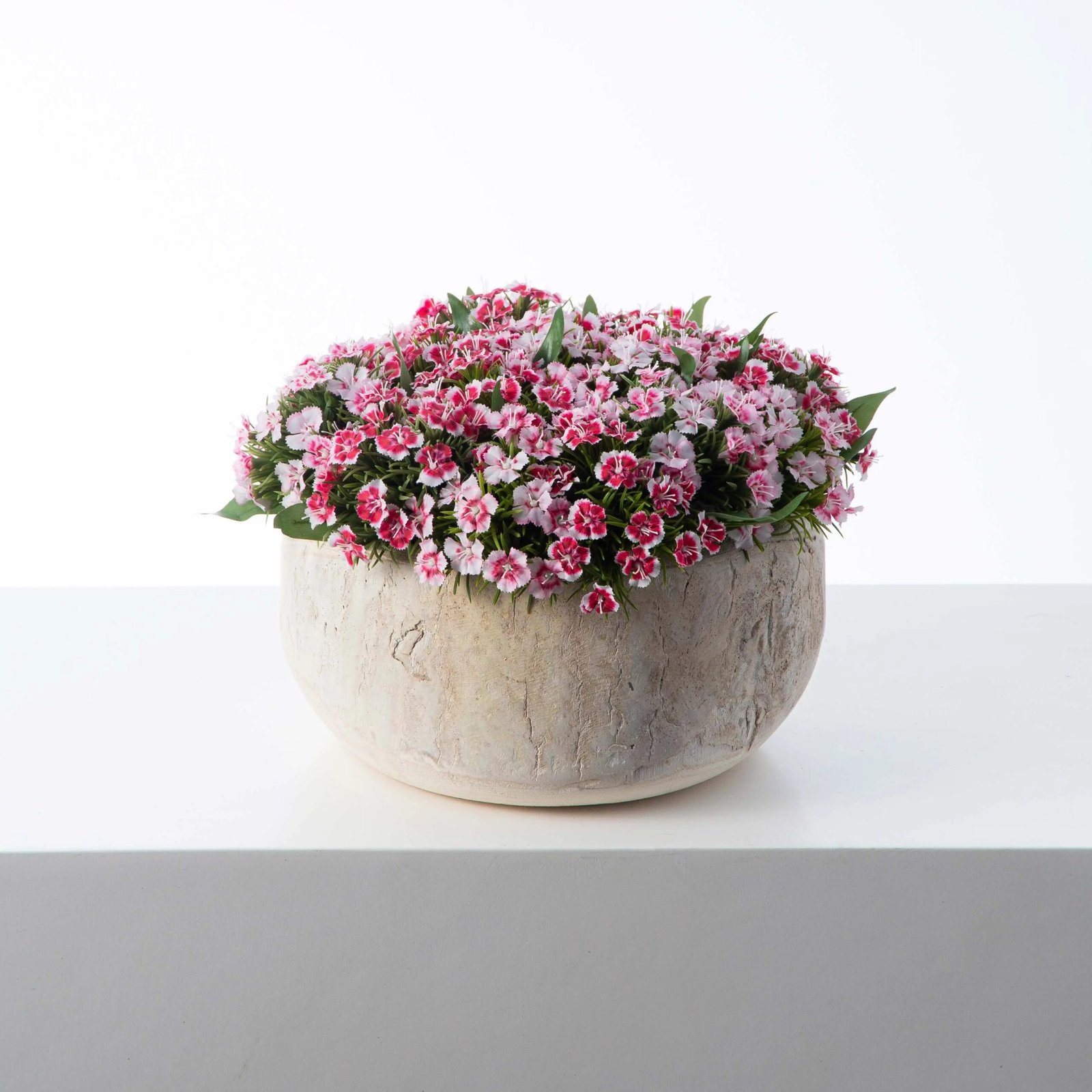 AR1489RealTouchWhite_PinkMiniDianthusWildFlowersinNaturalWoodBowlFauxFlowerSprin_1 Real Touch White & Pink Mini Dianthus Wild Flowers in Natural Wood Bowl Faux Flower Spring Summer Centerpiece Arrangement - Image 1
