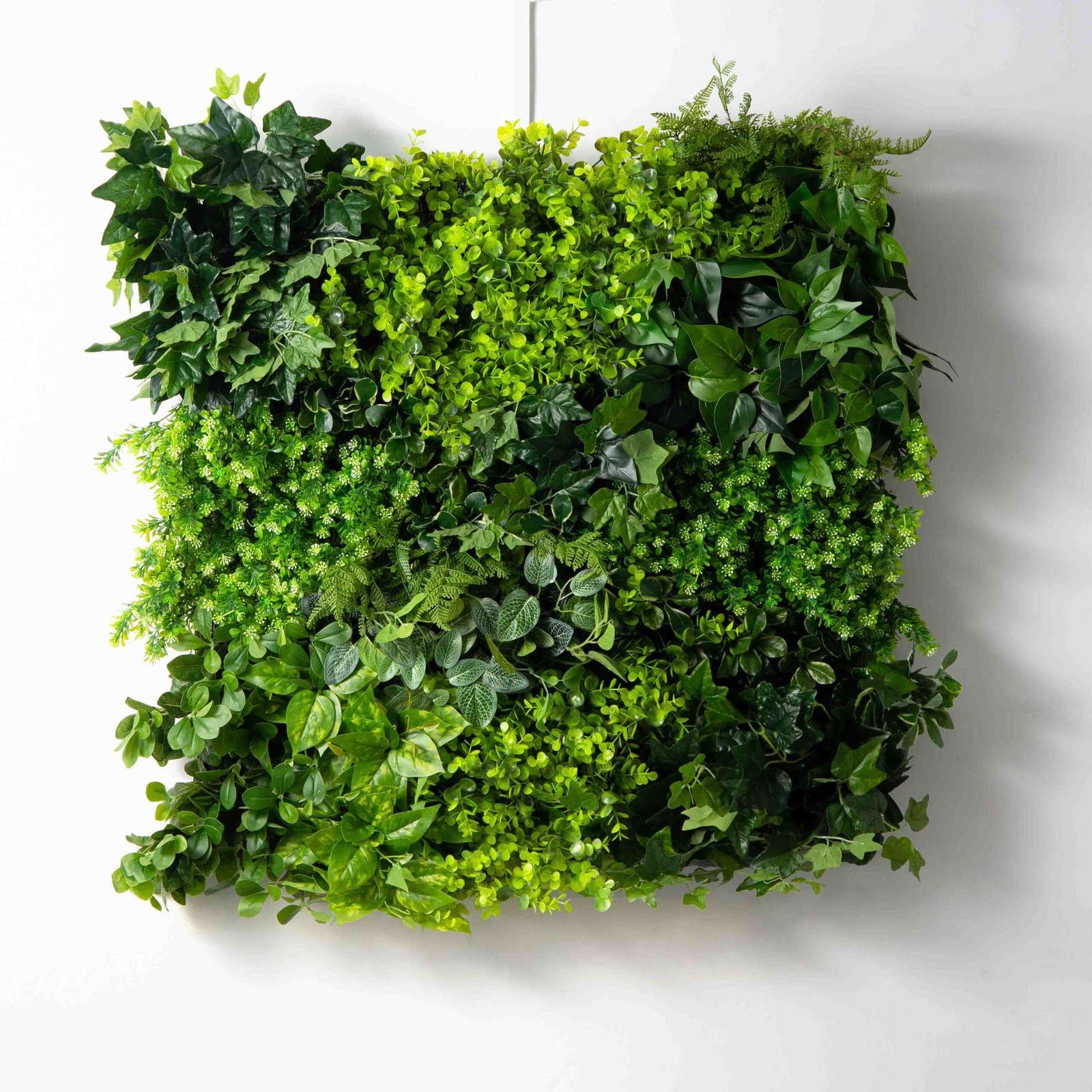 AR1496LargeLushMixedGreensBotanicalGardenSquareWallPanelwithBoxwood_Ivy_Eucalyptus_1 Large Lush Mixed Greens Botanical Garden Square Faux Living Wall Panel with Boxwood, Ivy, Eucalyptus & Fern - Image 1