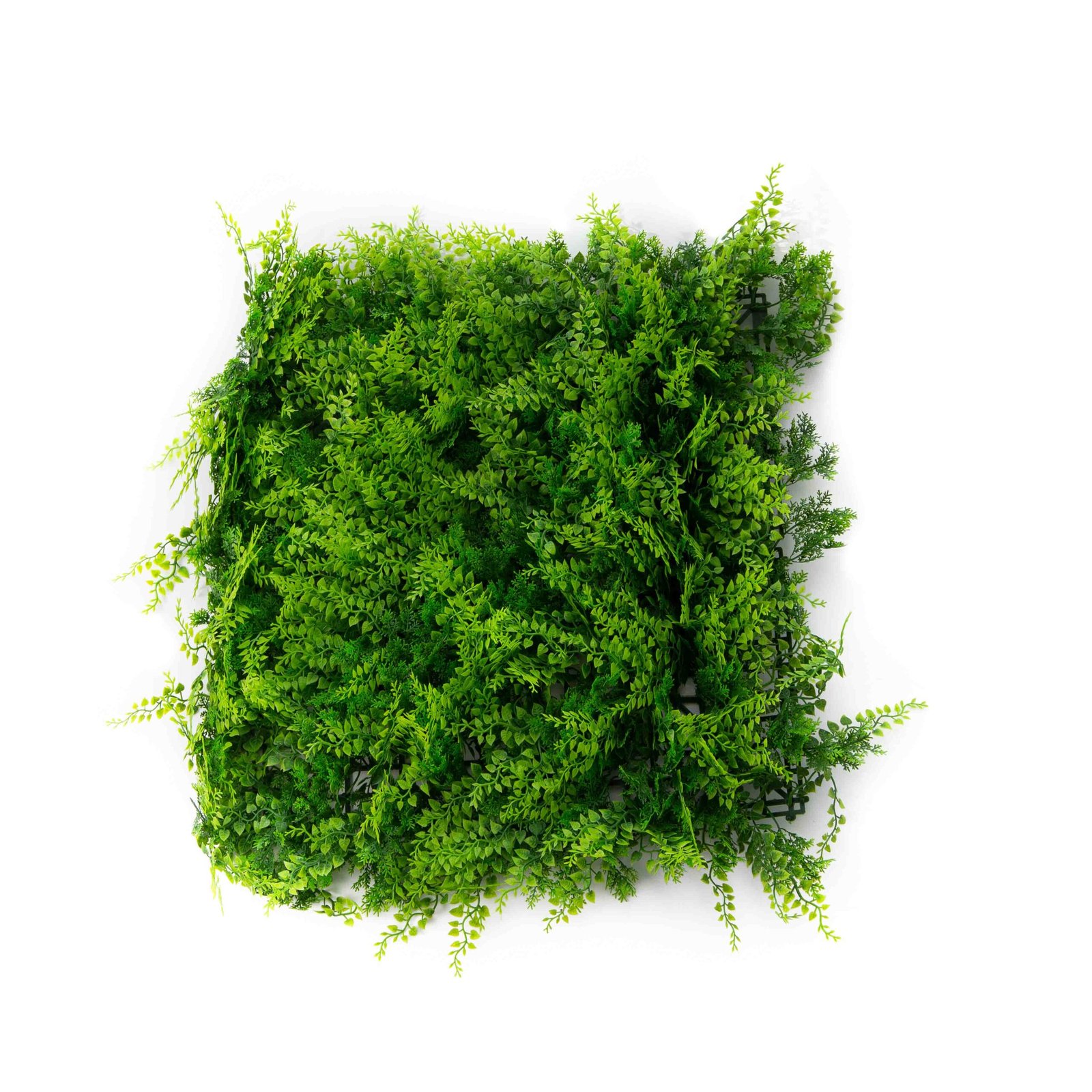 AR1497MediterraneanFauxFernGreenerySquareWallPanelEverydayArrangement_1 Faux Mediterranean Fern Greenery Square Wall Panel Everyday Arrangement - Image 1
