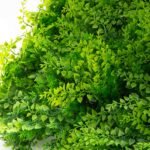 Faux Mediterranean Fern Greenery Square Wall Panel Everyday Arrangement - Image 2
