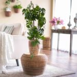 Green Split Leaf Monstera Faux House Plant Arrangement In Black Drop In Pot - Image 3