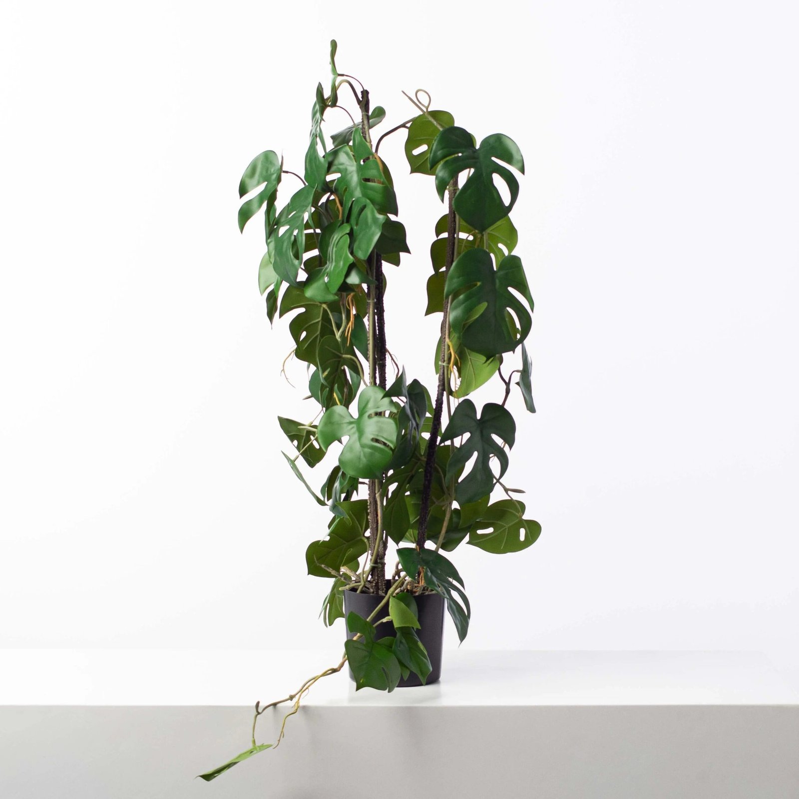 AR1579GreenRhaphidophoraTetraspermaMiniSplitLeafMonsteraFauxHousePlantArrangementInBlackDropInPot_3 Green Split Leaf Monstera Faux House Plant Arrangement In Black Drop In Pot - Image 1