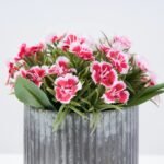 Real Touch Mini Dianthus Wildflowers in Galvanized Metal Tin - 2 Colors - Image 2