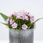Real Touch Mini Dianthus Wildflowers in Galvanized Metal Tin - 2 Colors - Image 3