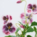 Lifelike Pansy Faux Floral Arrangement Houseplant in Galvanized Metal Tin - 5 Colors - Image 14