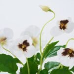 Lifelike Pansy Faux Floral Arrangement Houseplant in Galvanized Metal Tin - 5 Colors - Image 2