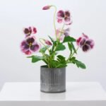 Lifelike Pansy Faux Floral Arrangement Houseplant in Galvanized Metal Tin - 5 Colors - Image 16
