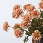 Cafe Au Lait Pom Pom Chrysanthemum In Rose Gold Moet Pot Everyday Fall Arrangement - Image 2