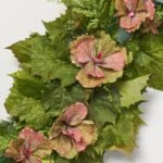 Garden of Eden - Grapevine Foliage, Mixed Wild Greenery & Decorative Kale Flat Centerpiece Swag Arrangement - Image 3