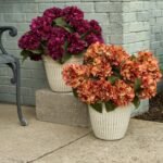 Faux Autumn Hydrangea Bush Foliage Outdoor Urn Filler Front Porch Arrangement - Available in 2 Colors