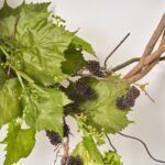 Rustic Vineyards - Grape Leaf Vine & Wild Blackberry on Twisted Broad Vine Wreath Base - Image 3
