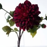 Dark Beauty Dahlia Bloom & Bud Stem in Bud Vase Everyday Faux Floral Illusion Water Arrangement - Image 2