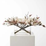 Light Pink Magnolia Branch Blooms in Oval Pocket Vase Everyday Spring Water Illusion Arrangement