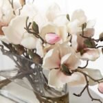 Light Pink Magnolia Branch Blooms in Oval Pocket Vase Everyday Spring Water Illusion Arrangement - Image 2