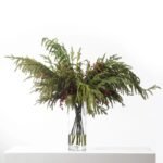 Norfolk Pine & Red Berry Christmas Holiday Water Illusion Centerpiece Arrangement in Tall Glass Vase