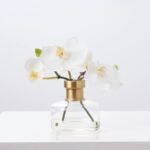 White Orchid Blooms in Rimmed Bottle Vase Water Illusion Arrangement