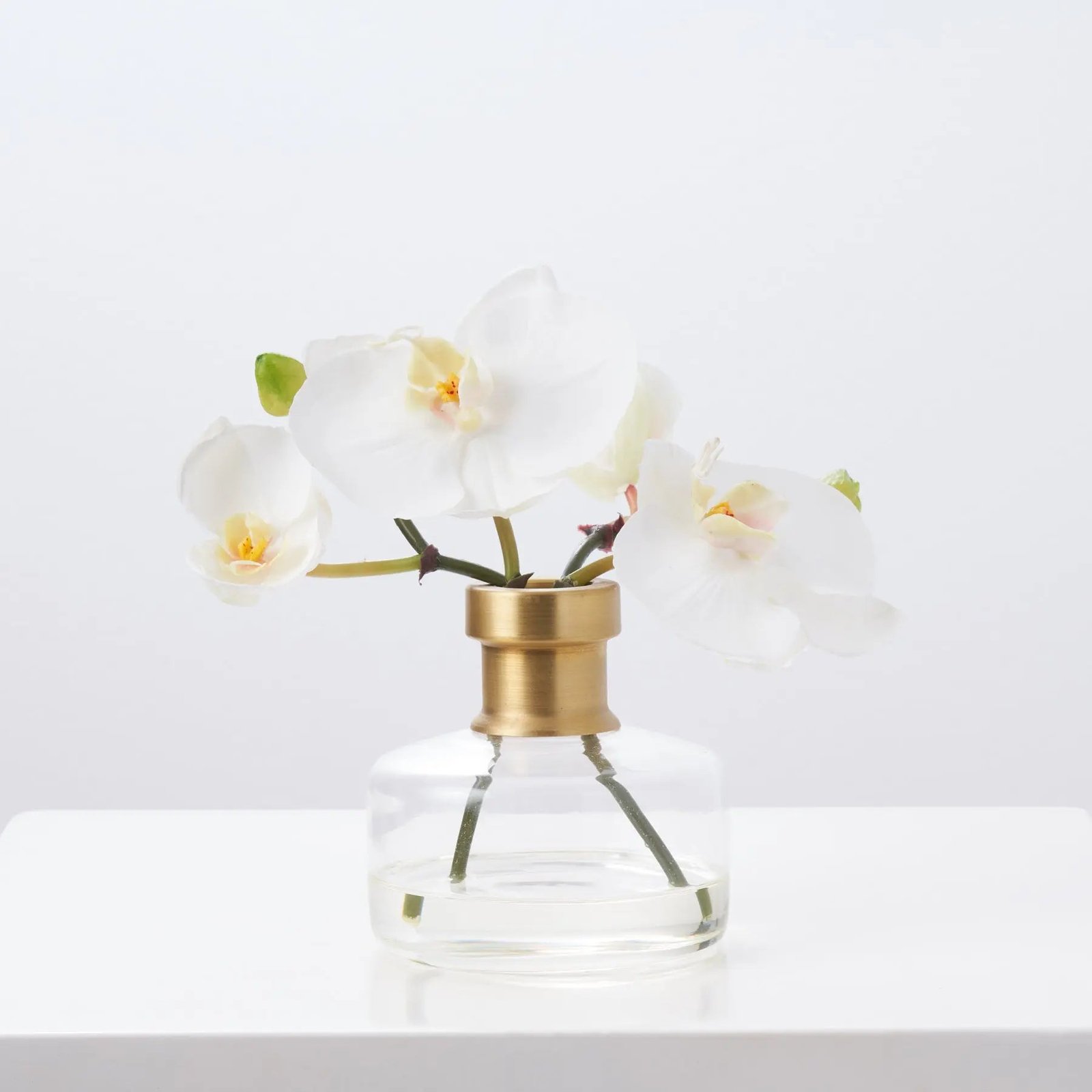FAR1307WhiteOrchidBloomsinRimmedBottleVaseWaterIllusionArrangement_2 White Orchid Blooms in Rimmed Bottle Vase Water Illusion Arrangement - Image 1