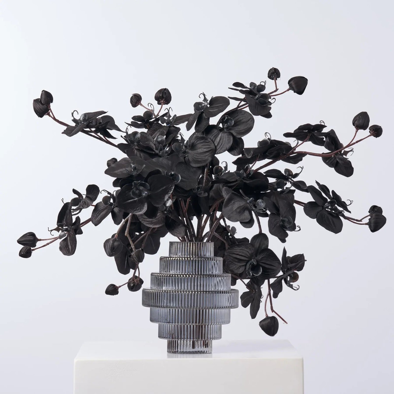 FAR1367BlackMagicOrchidArrangementInSmokeGlassChandelierVase Black Magic Orchid Arrangement In Smoke Glass Chandelier Vase - Image 1