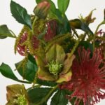 Jungle Breeze - Red Pincushion Protea, Green Helleborus & Amaranthus Everyday Fall Floral Arrangement - Image 2