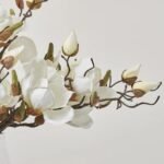 White Magnolia Blooms & Branch Buds in Pyramid Style Vase Everyday Spring Water Illusion - Image 2