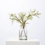 Mini White Protea Buds & Blooms in Small Clear Bottle Vase Everyday Spring Water Illusion Arrangement