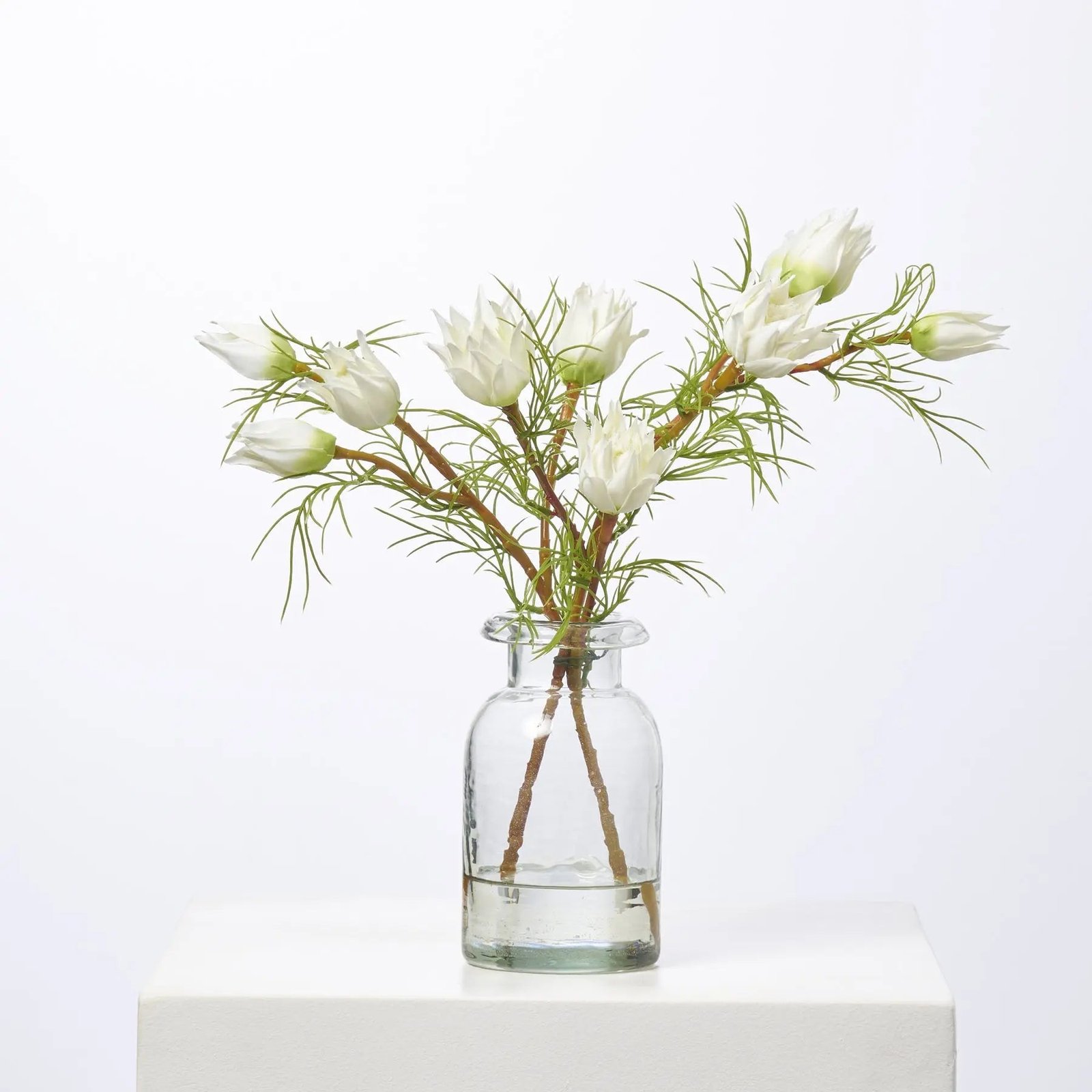 FAR1451MiniWhiteProteaBuds_BloomsinSmallClearBottleVase_935a406d-7367-4fee-8e49-a4a2d20948a2 Mini White Protea Buds & Blooms in Small Clear Bottle Vase Everyday Spring Water Illusion Arrangement - Image 1