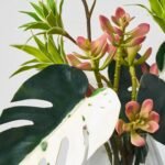 Tropical Muse - Green Albino Monstera Leaf, Dracaena & Succulent in Smoke Wood Vase Everyday Water Illusion Centerpiece Arrangement - Image 2