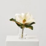 Real Touch Large Magnolia Bloom in Small Round Footed Vase Everyday Single Stem Water Illusion Arrangement