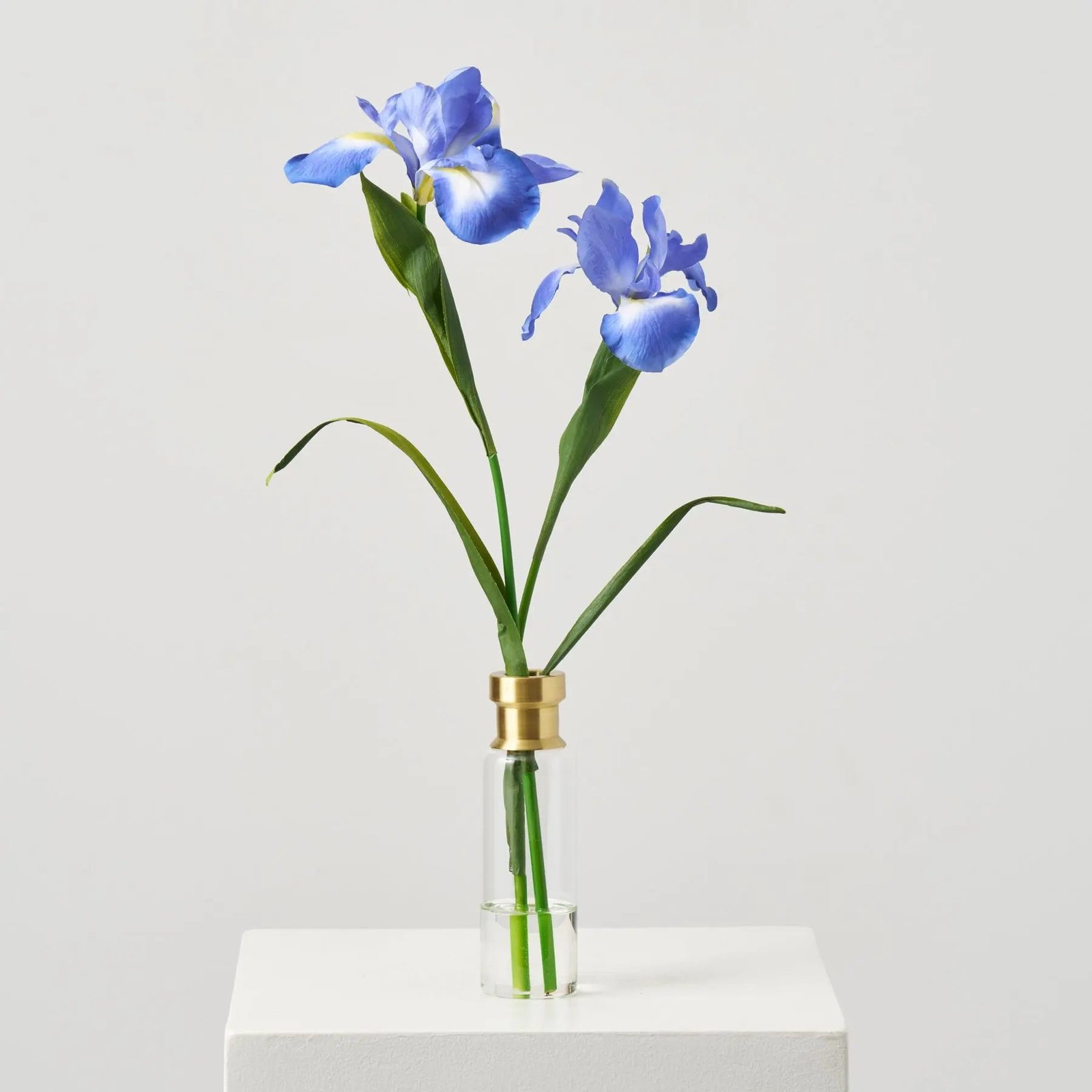 FAR1570LifelikeBlueIrisBloomStemsinTallGoldRimBottleVaseSpringFloralWaterIllusionArrangement_1 Lifelike Blue Iris Bloom Stems in Tall Gold Rim Bottle Vase Spring Floral Water Illusion Arrangement - Image 1