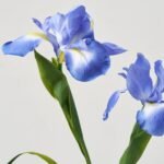 Lifelike Blue Iris Bloom Stems in Tall Gold Rim Bottle Vase Spring Floral Water Illusion Arrangement - Image 2