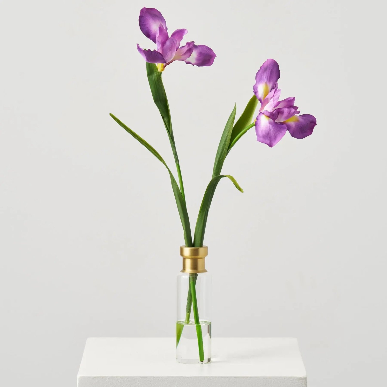 FAR1571LifelikePurpleIrisBloomStemsinTallGoldRimBottleVaseSpringFloralWaterIllusionArrangement_1 Lifelike Purple Iris Bloom Stems in Tall Gold Rim Bottle Vase Spring Floral Water Illusion Arrangement - Image 1