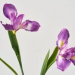 Lifelike Purple Iris Bloom Stems in Tall Gold Rim Bottle Vase Spring Floral Water Illusion Arrangement - Image 2