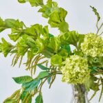 Chlorophyll Cantilever - Bells of Ireland, Snowball Blooms & Amaranthus in Extra Tall Recycled Glass Vase Large Table Arrangement Water Illusion - Image 2