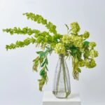 Chlorophyll Cantilever - Bells of Ireland, Snowball Blooms & Amaranthus in Extra Tall Recycled Glass Vase Large Table Arrangement Water Illusion