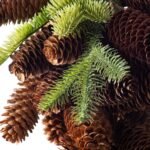 Rustic Natural Pinecone & Faux Pine Winter Christmas Hanging Swag - Image 2