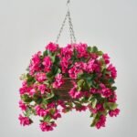 Cerise Bougainvillea In Rattan Basket Faux Floral Outdoor Spring & Summer Hanging Basket