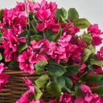 Cerise Bougainvillea In Rattan Basket Faux Floral Outdoor Spring & Summer Hanging Basket - Image 2