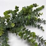 Green Gray Eucalyptus Everyday Table Swag All Season Greenery Centerpiece - Image 2