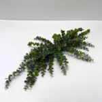 Green Gray Eucalyptus Everyday Table Swag All Season Greenery Centerpiece