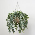 All Seasons Fittonia Leaf Hanging Basket Everyday Faux Greenery
