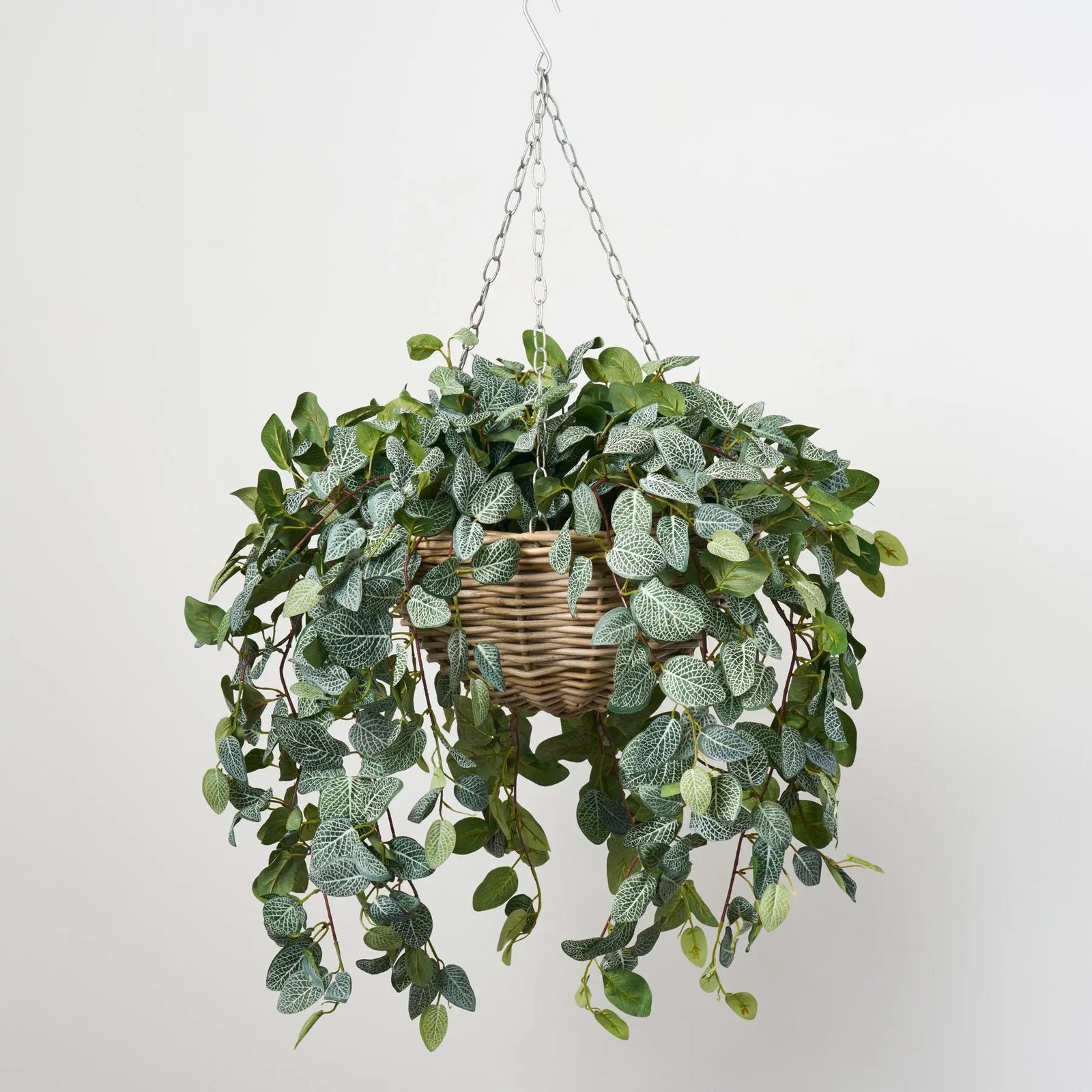 FDS149AllSeasonsFittoniaLeafHangingBasketEverydayFauxGreenery_1 All Seasons Fittonia Leaf Hanging Basket Everyday Faux Greenery - Image 1