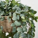All Seasons Fittonia Leaf Hanging Basket Everyday Faux Greenery - Image 2