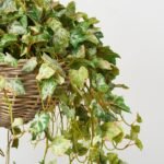 All Seasons Frosted Grape Leaf Hanging Basket Everyday Faux Greenery - Image 2