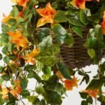 Draping Orange Bougainvillea in Rattan Basket Faux Floral Spring Summer Hanging Basket - Image 2