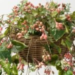 Pink Rosehip Berry & Green Pothos Leaf Spring Summer Faux Hanging Basket - Image 2
